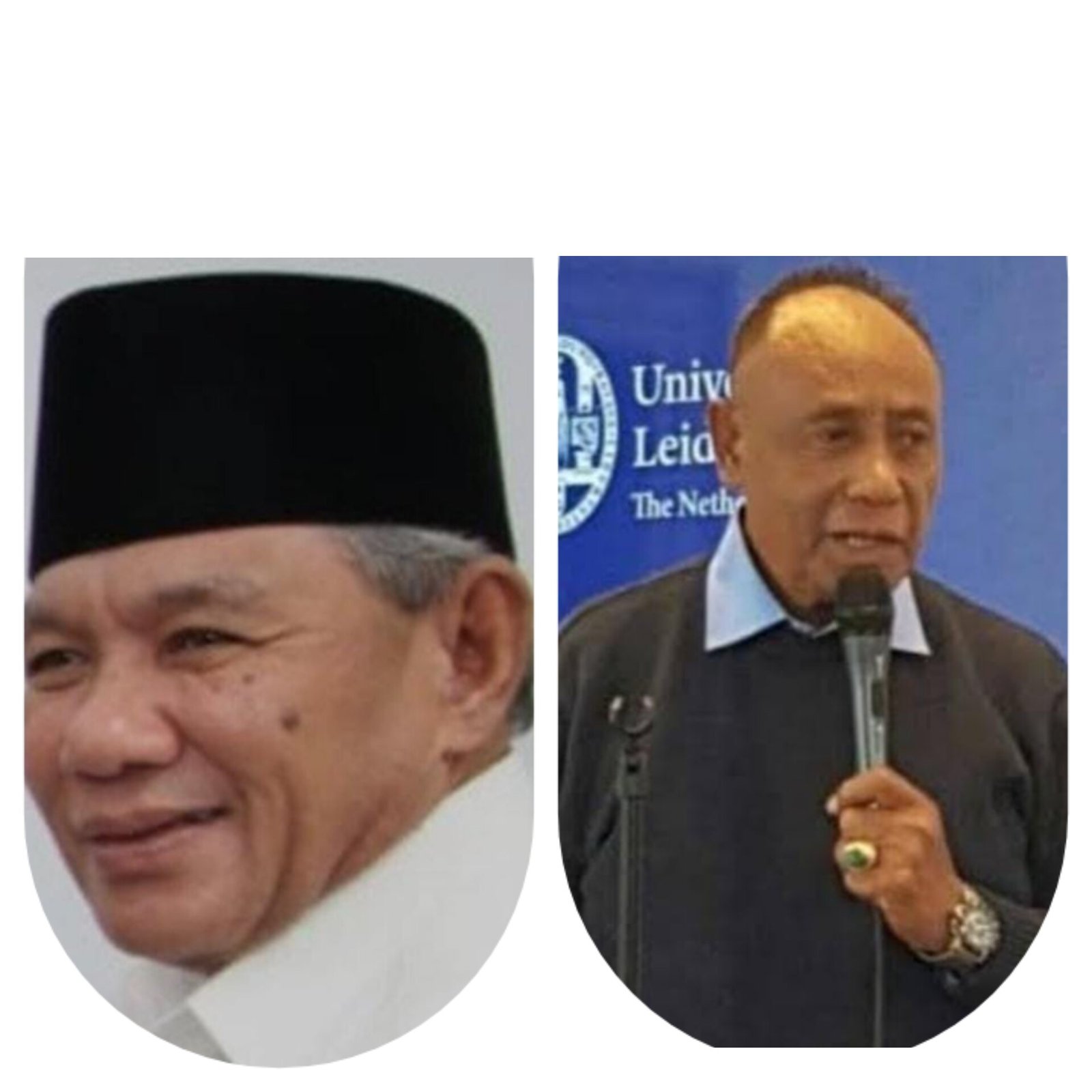 InShot_20240209_155647652