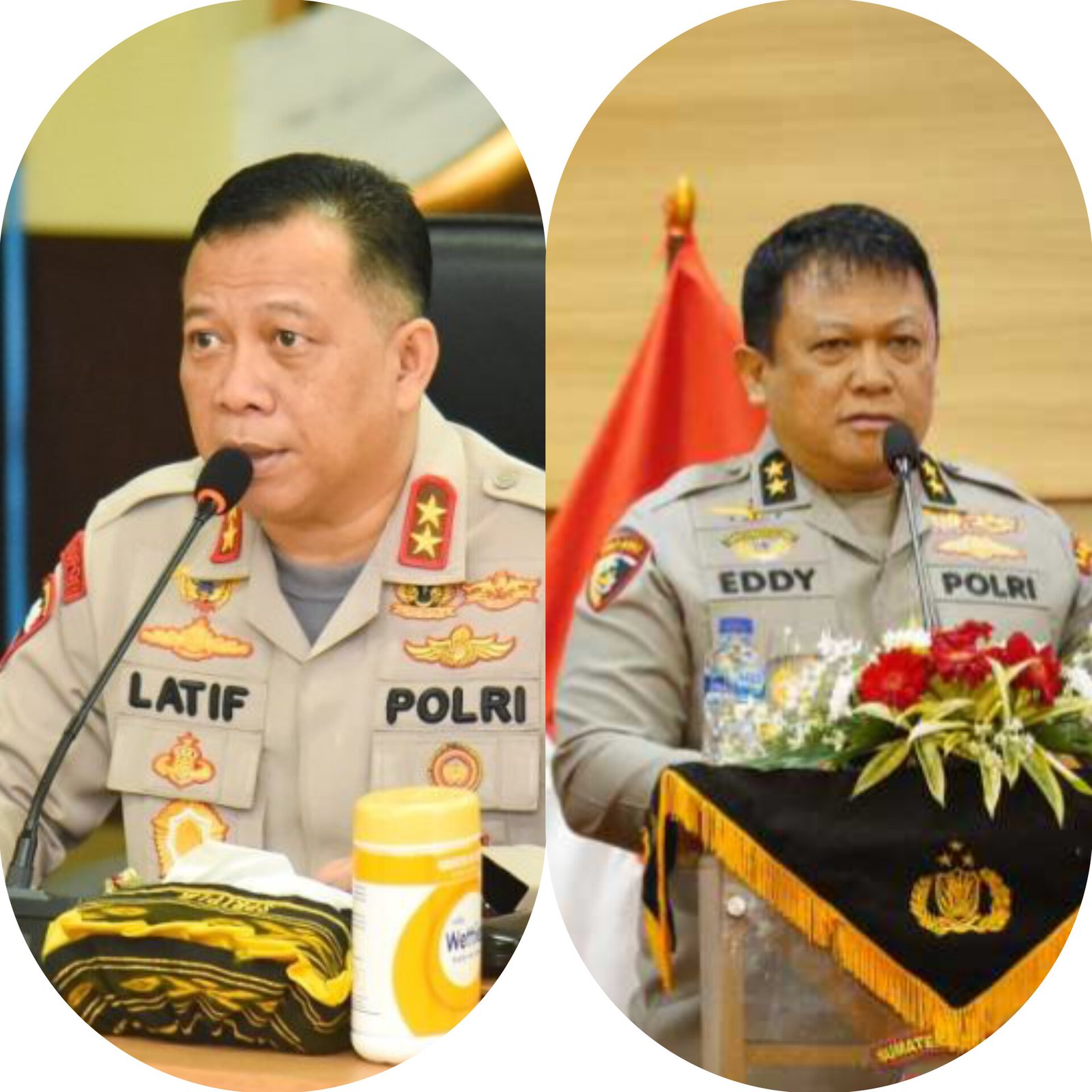 InShot_20240728_021442695