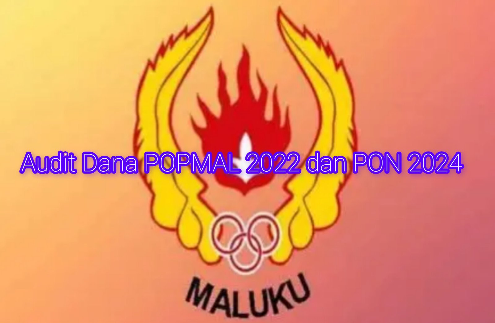 InShot_20250208_004515801