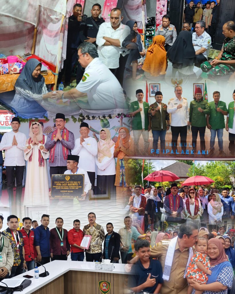 InShot_20260217_232555379