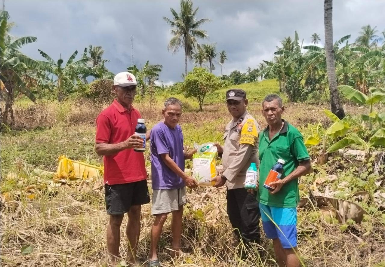 WhatsApp Image 2026-02-11 at 03.03.46