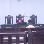 WhatsApp Image 2026-02-11 at 04.39.10