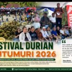 festival