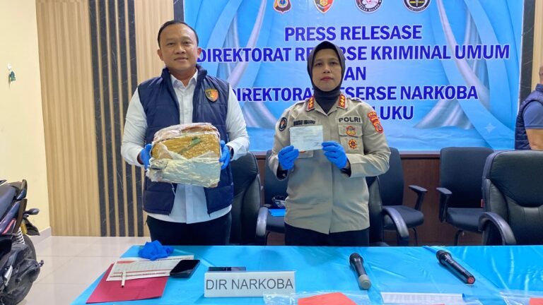 Dua Bulan, 33 Kasus Narkotika di Maluku Diungkap, Ratusan Gram Ganja Disita