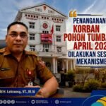 Penanganan Korban Pohon Tumbang April 2026 Dilakukan Pemkot Ambon Sesuai Mekanisme