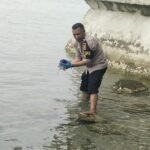 janin