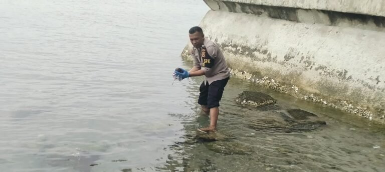 Rumahtiga & Ambon Geger, Warga Temukan Janin Mengapung di Pesisir Pantai